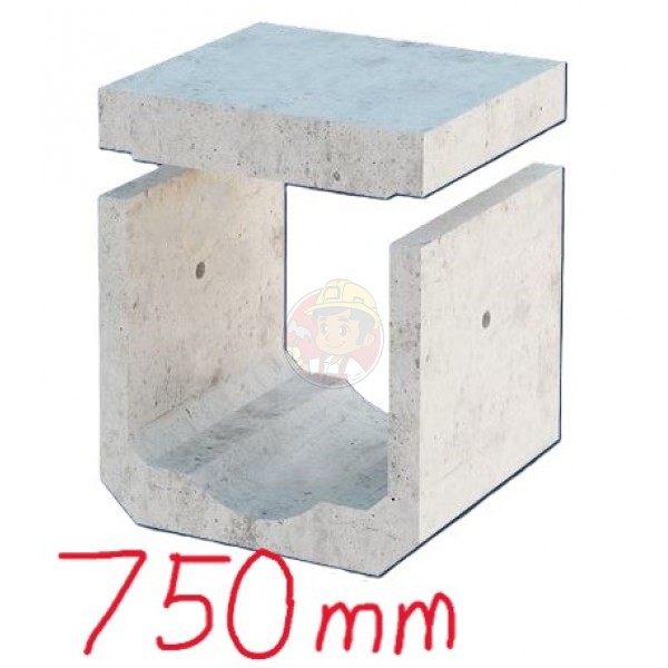 BOX CULVERT 750 X 750 MM (WITH DWF)